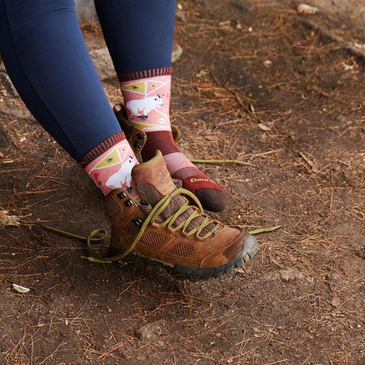 Darn Tough Critter Club Cushioned Lightweight Hiking Micro Crew Sock Women's 5001