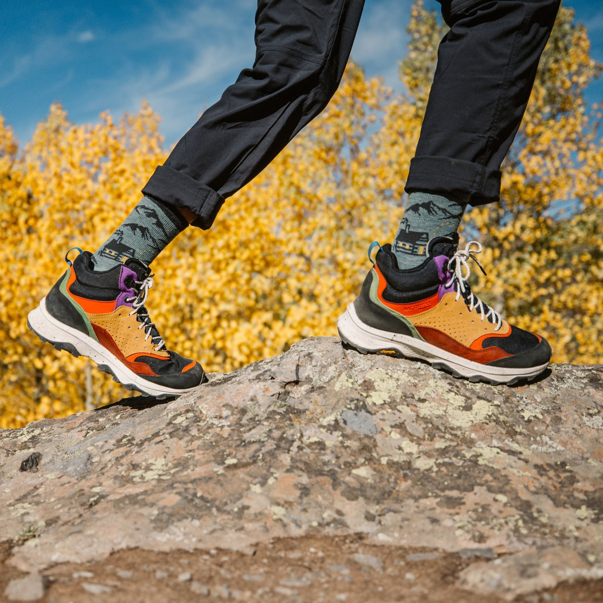 Darn Tough Hike Hut Cushioned Midweight Hiking Micro Crew Sock Men's 5021