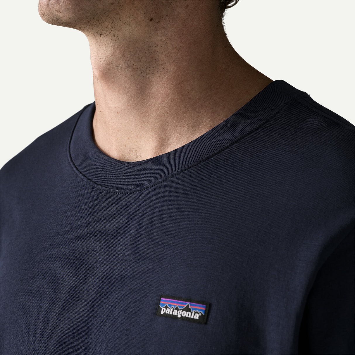 Patagonia Daily Crewneck Sweatshirt Men's