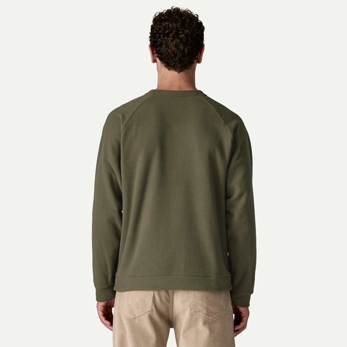 Patagonia Micro D Crewneck Men's Basin Green (Past Season)