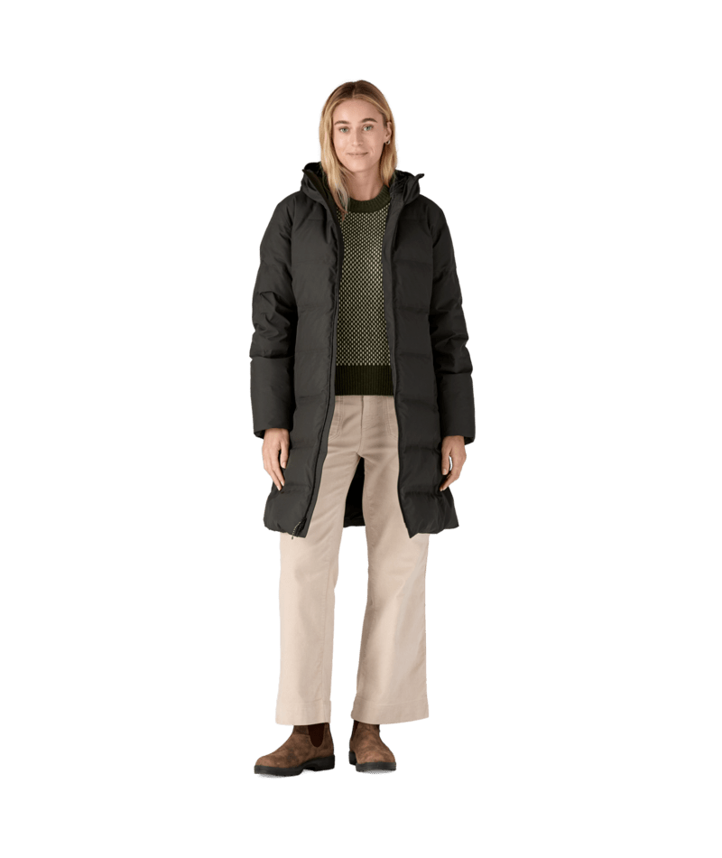 Patagonia Jackson Glacier Parka Women's