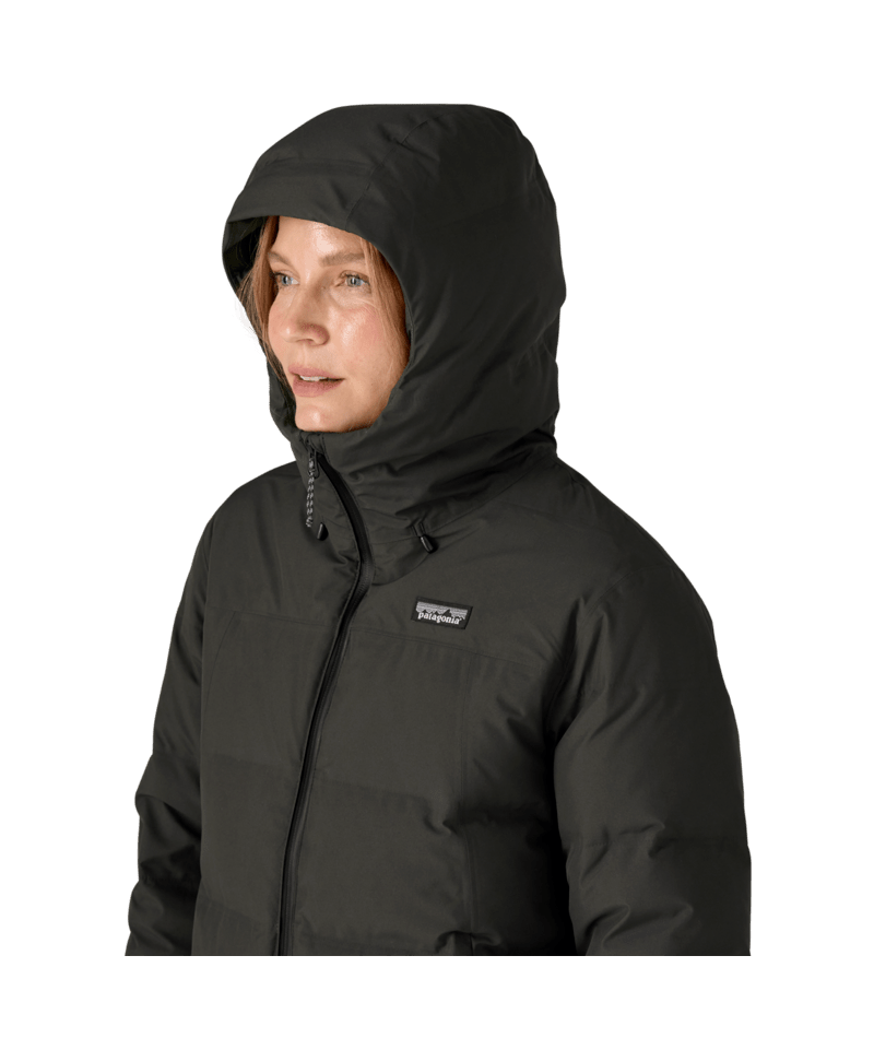 Patagonia Jackson Glacier Jacket Women's