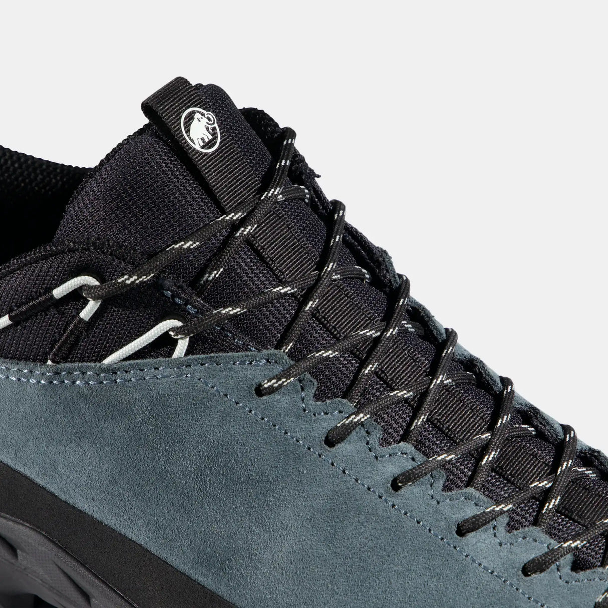Mammut Alnasca IV Low LTH Shoe Men's