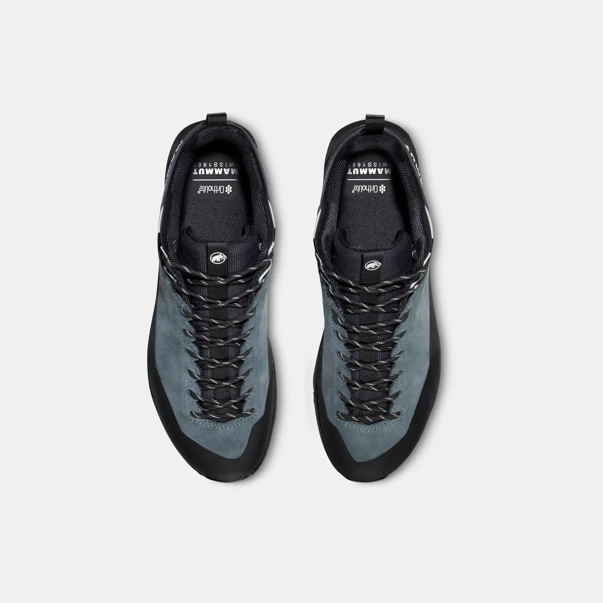 Mammut Alnasca IV Low LTH Shoe Men's