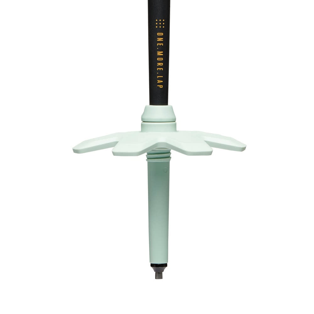 Black Diamond Traverse Pro Ski Poles