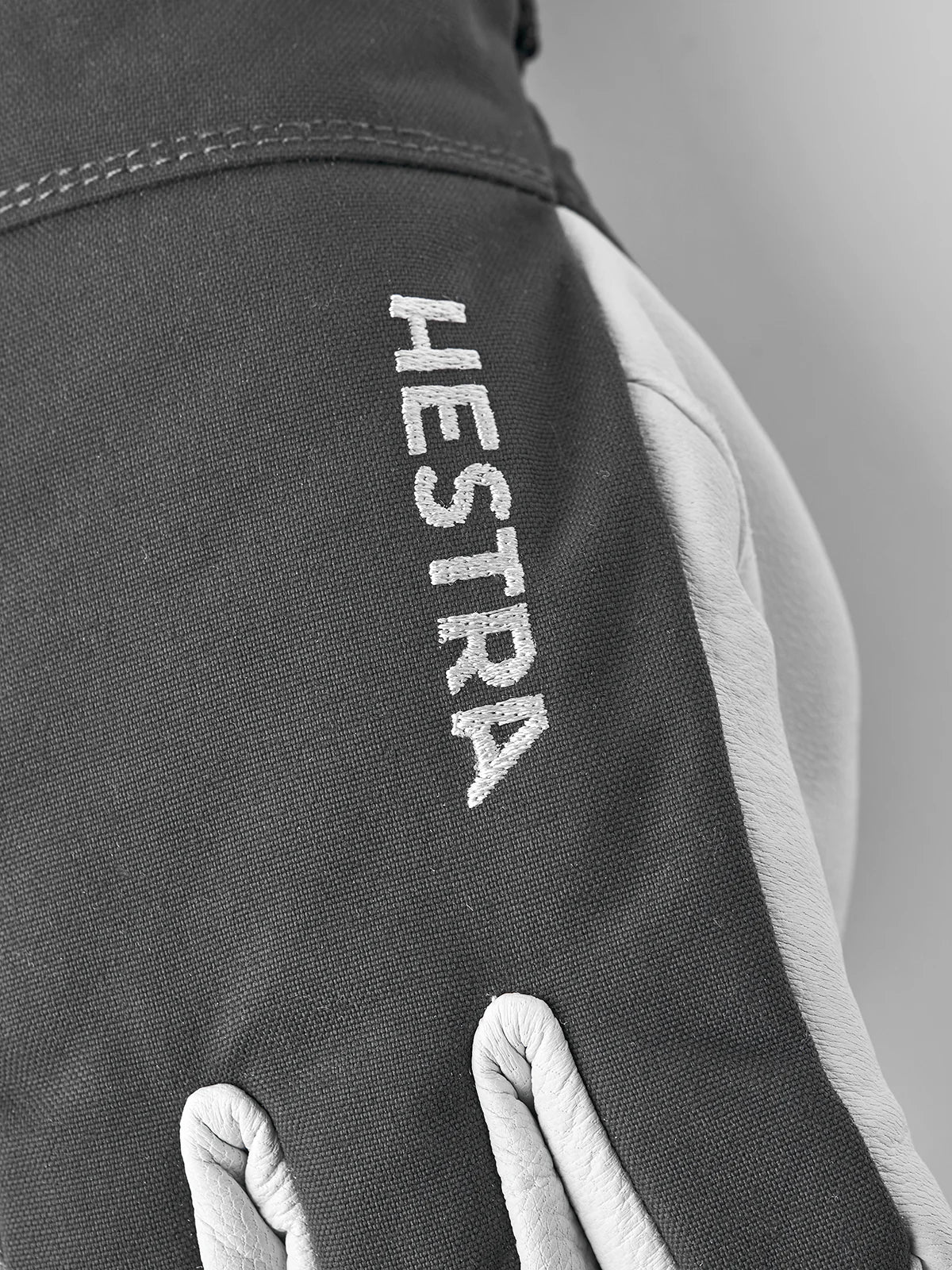 Hestra Leather Heli Ski Glove