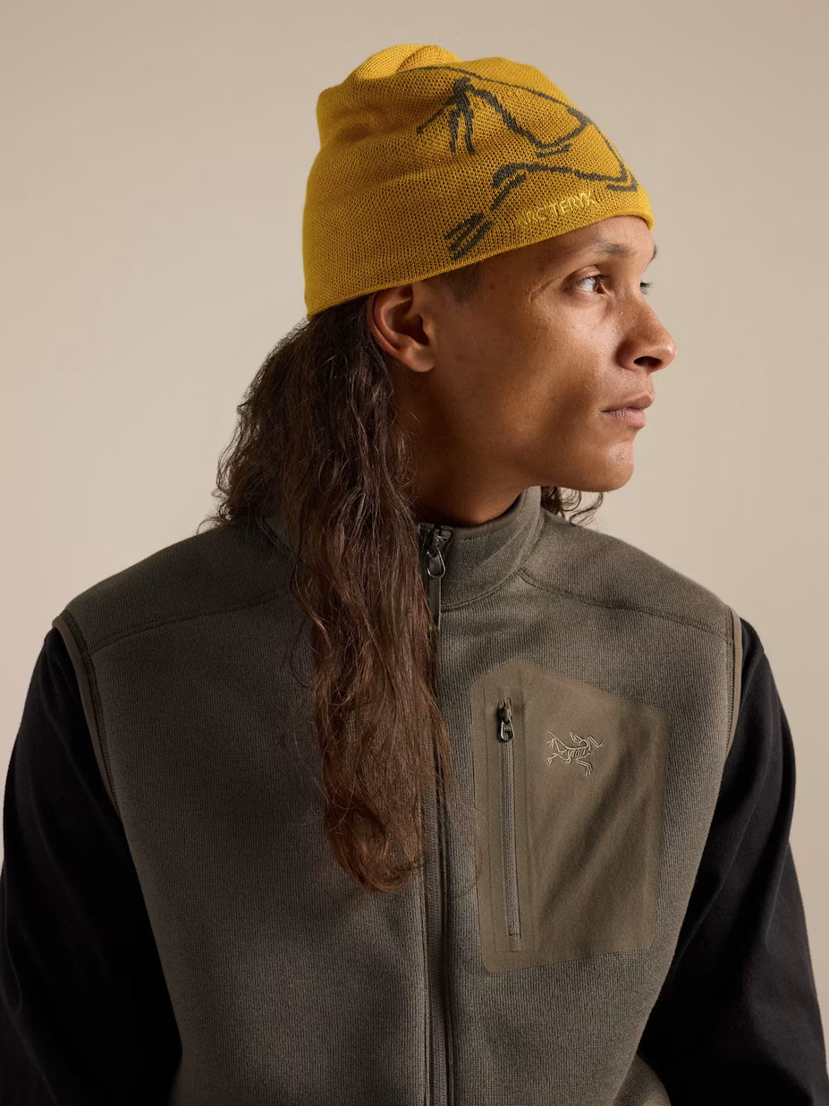 Arc'teryx Bird Head Toque