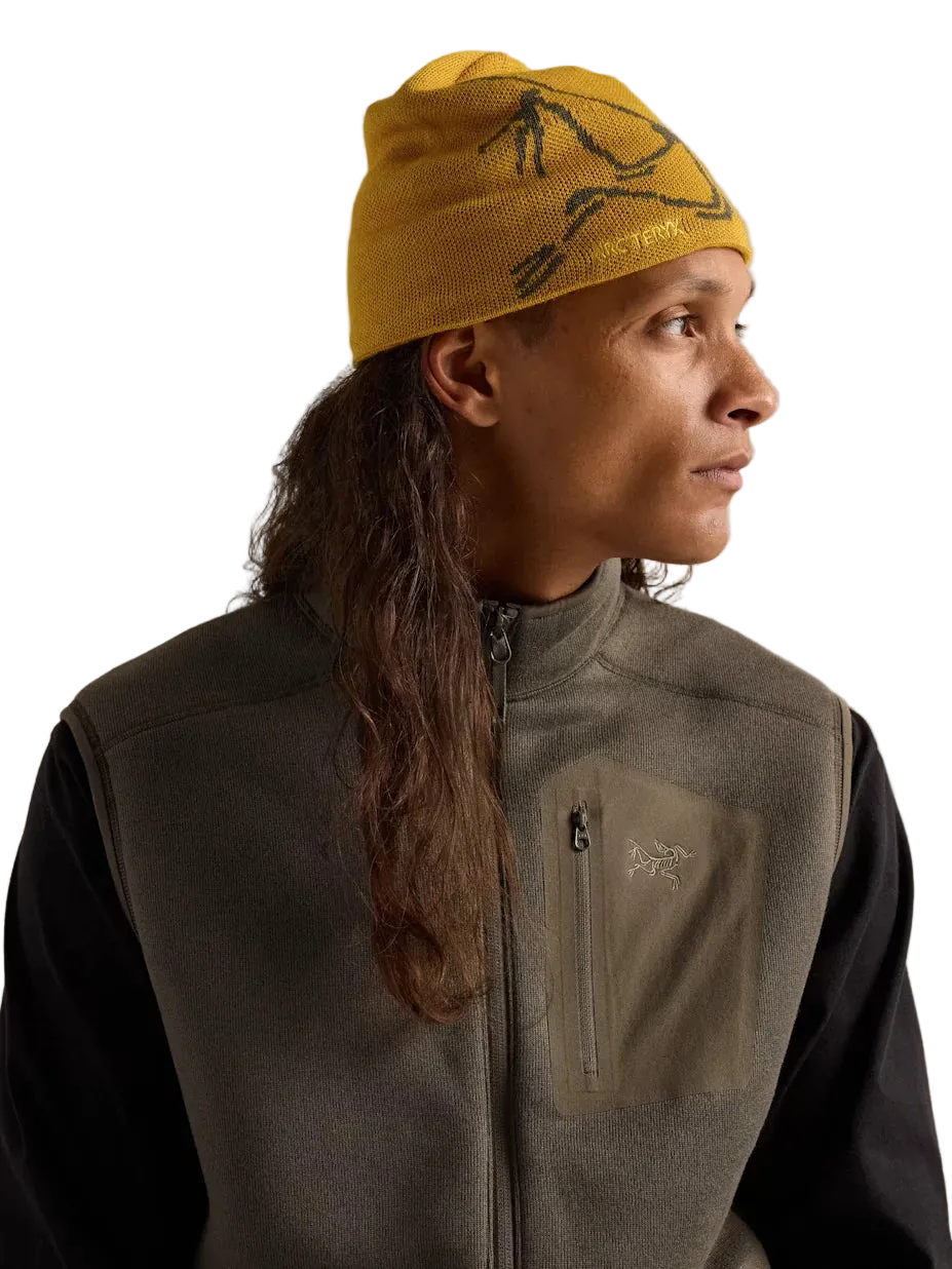 Bonnet Arc'teryx Bird Head