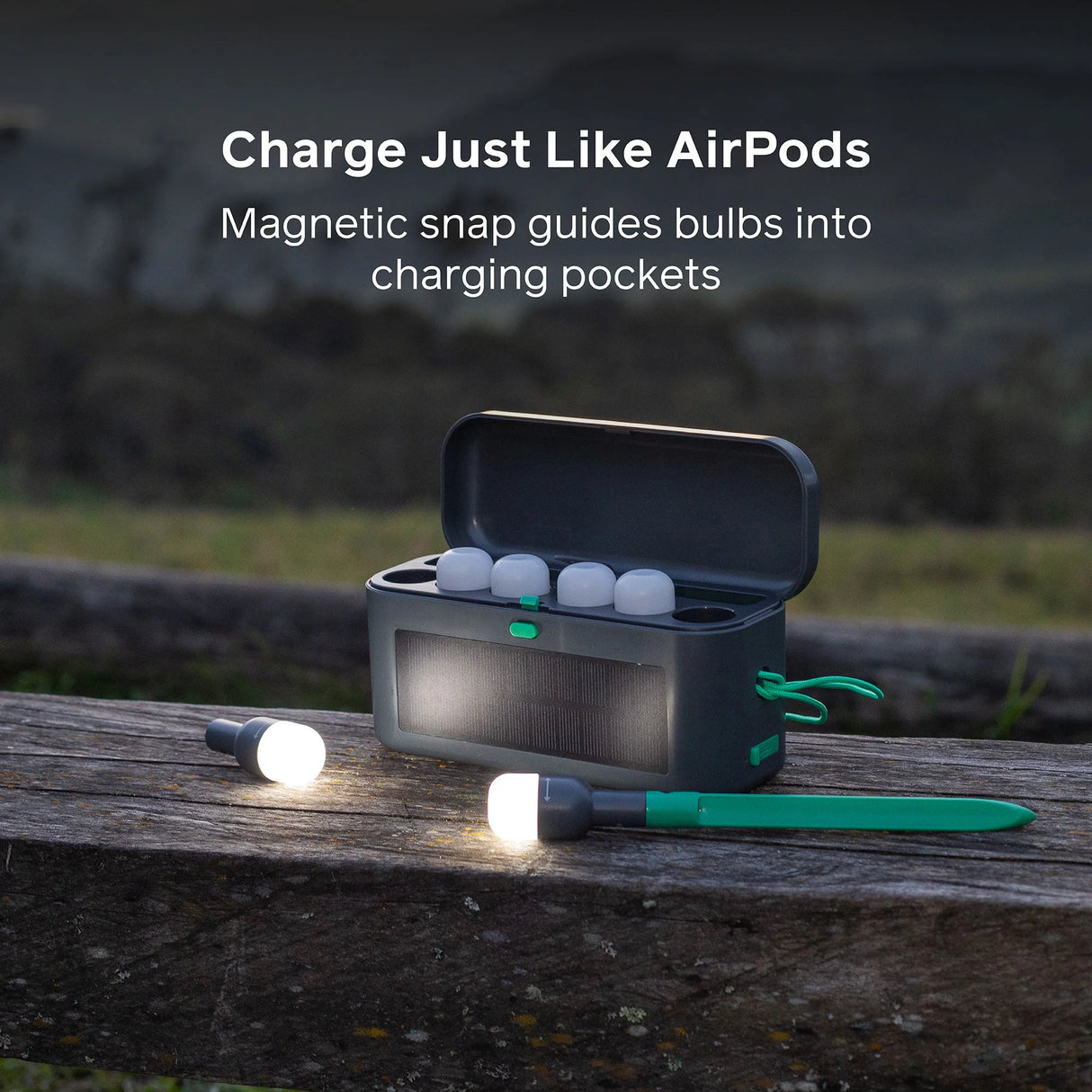 Biolite Site Lights