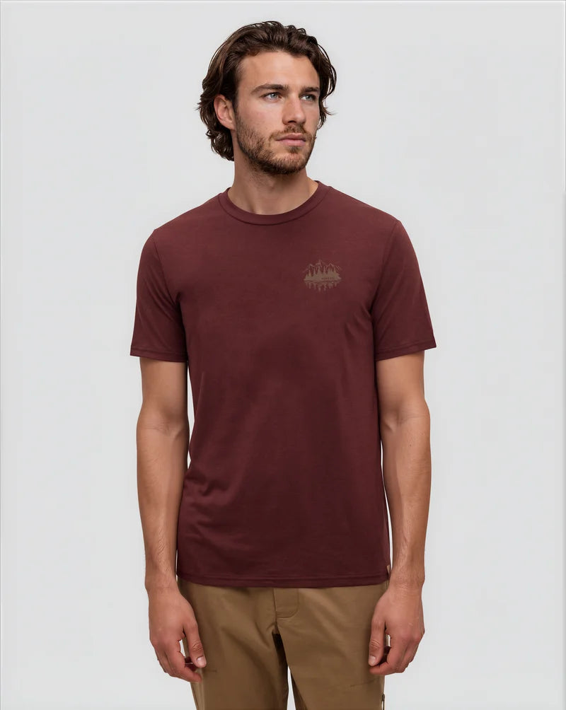 Tentree Mountain Portal T-Shirt Men's
