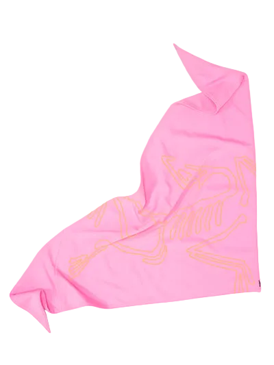 Arc'teryx Sinsolo Bandana