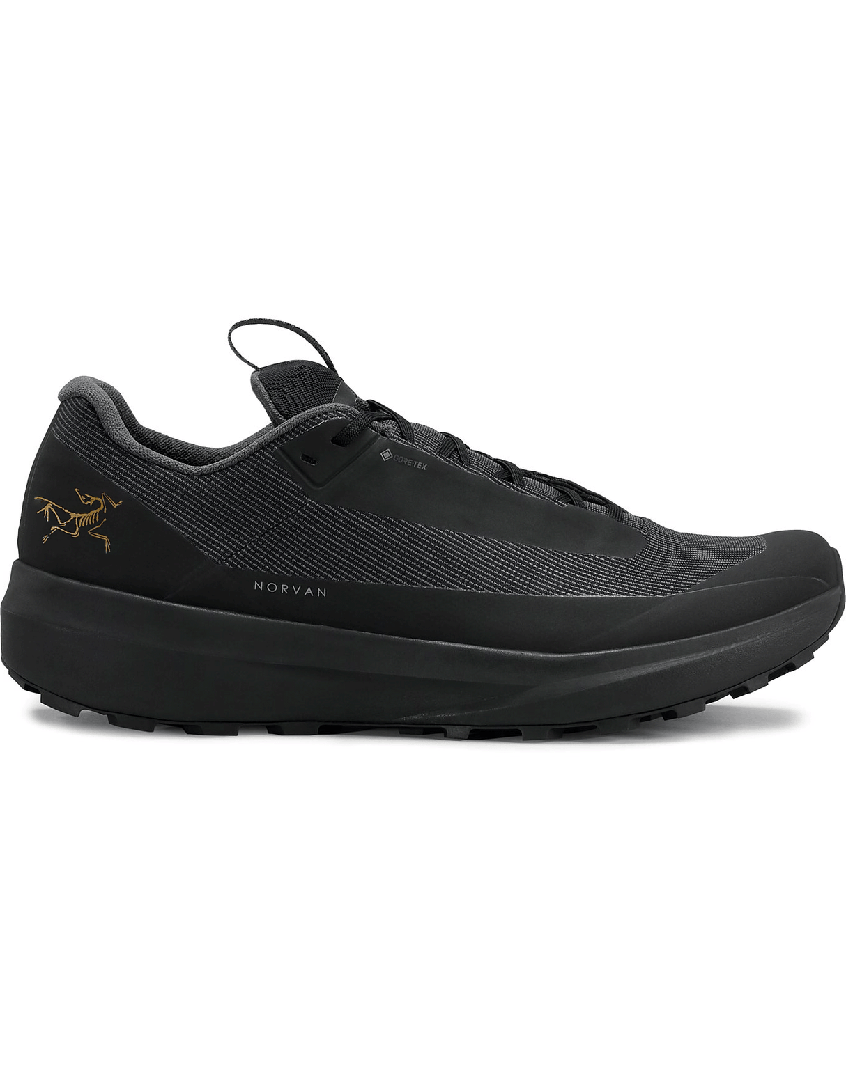 Arc'teryx Norvan LD 4 GTX Shoe Men's