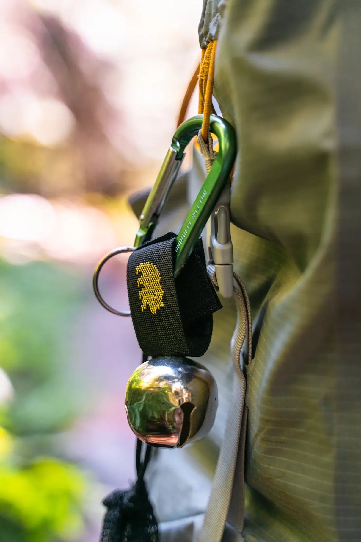 Coghlan's Bear Bell