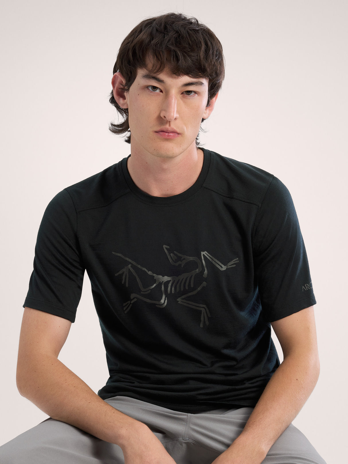 Arc'teryx Ionia Merino Wool Logo Short Sleeve Shirt Men's