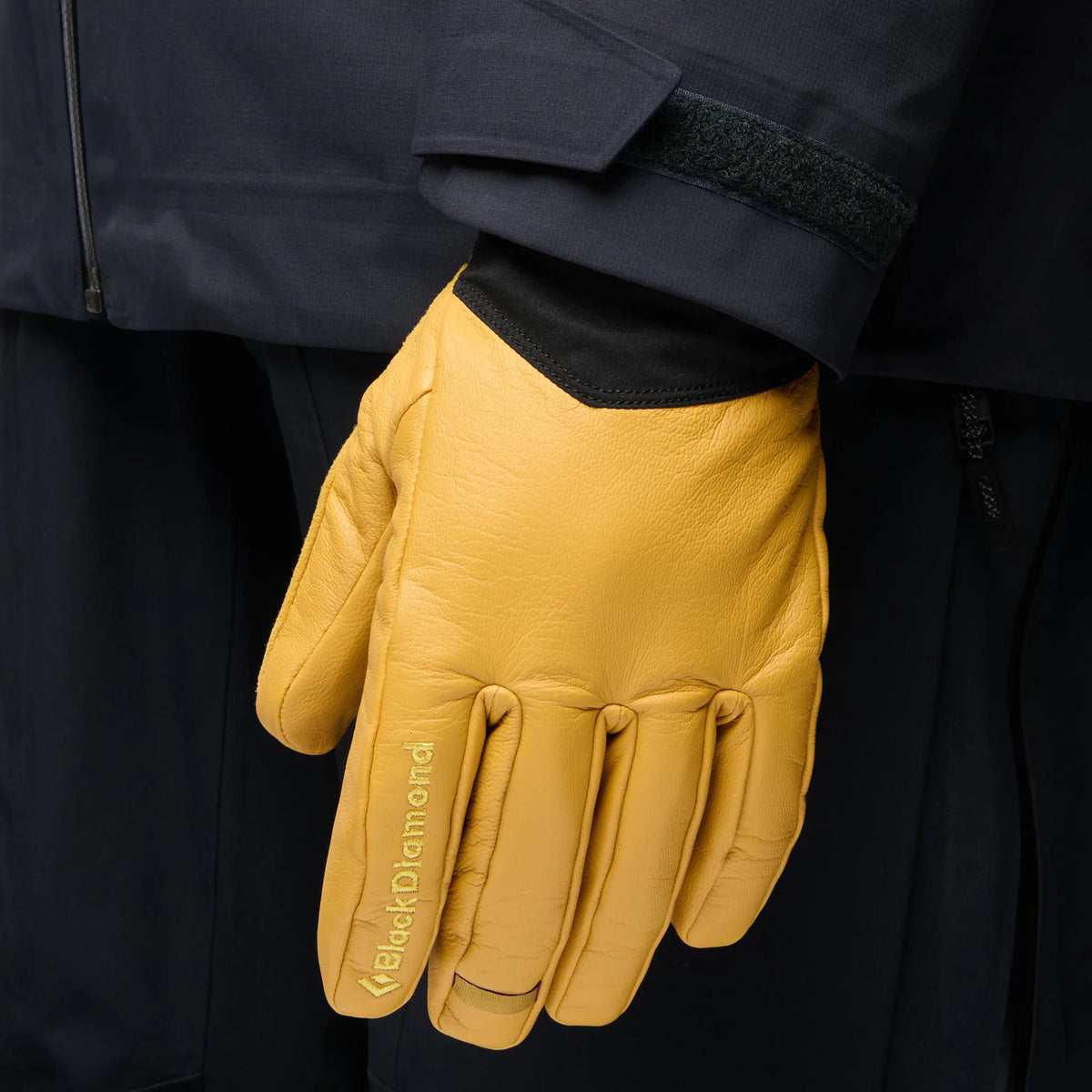 Black Diamond Tour Gloves Unisex