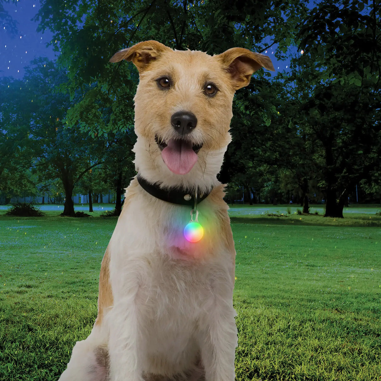 Nite Ize Pet Spotlit XL Rechargeable LED - Disc-O-Tech