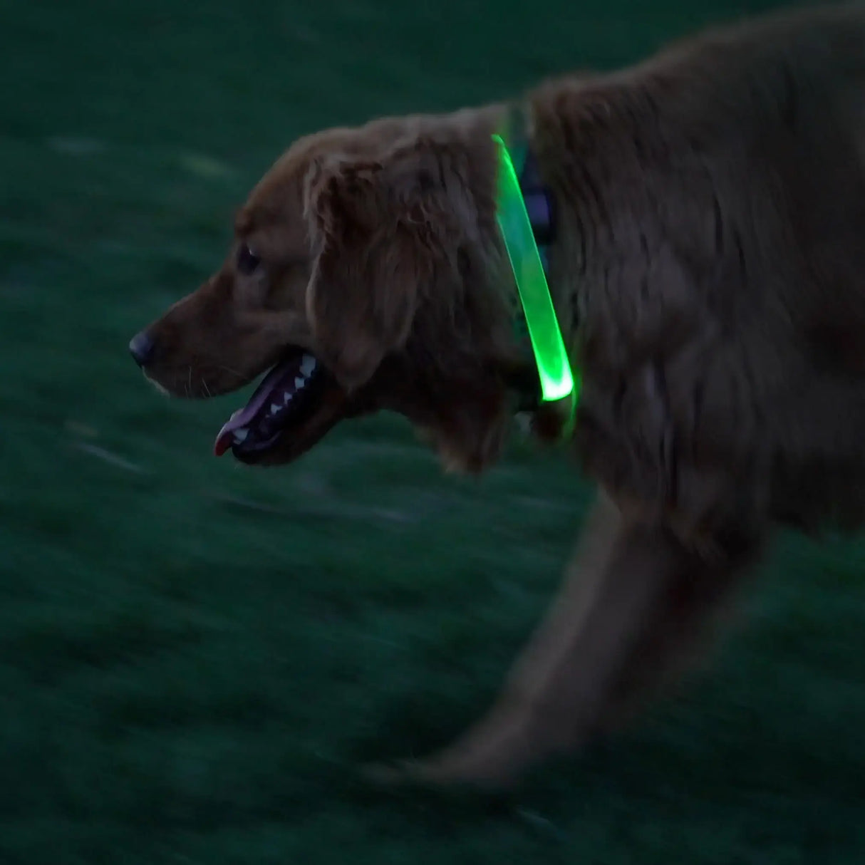 Nite Ize Nitehowl Max Rechargeable LED Safety Necklace
