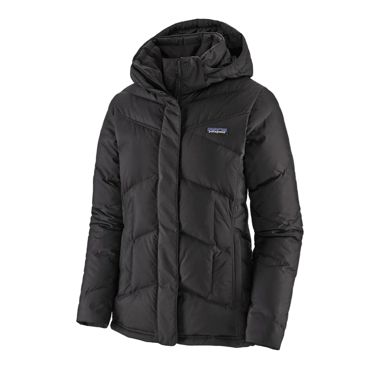 Patagonia Down with It Jacket Women's