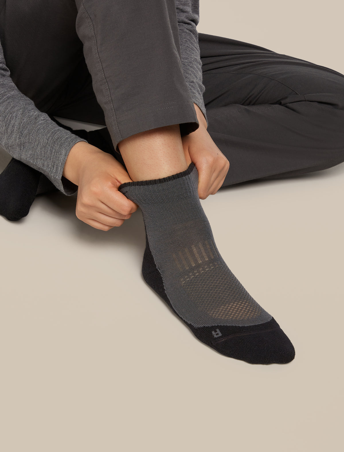 Icebreaker Merino Hike+ Light Mini Sock Women's