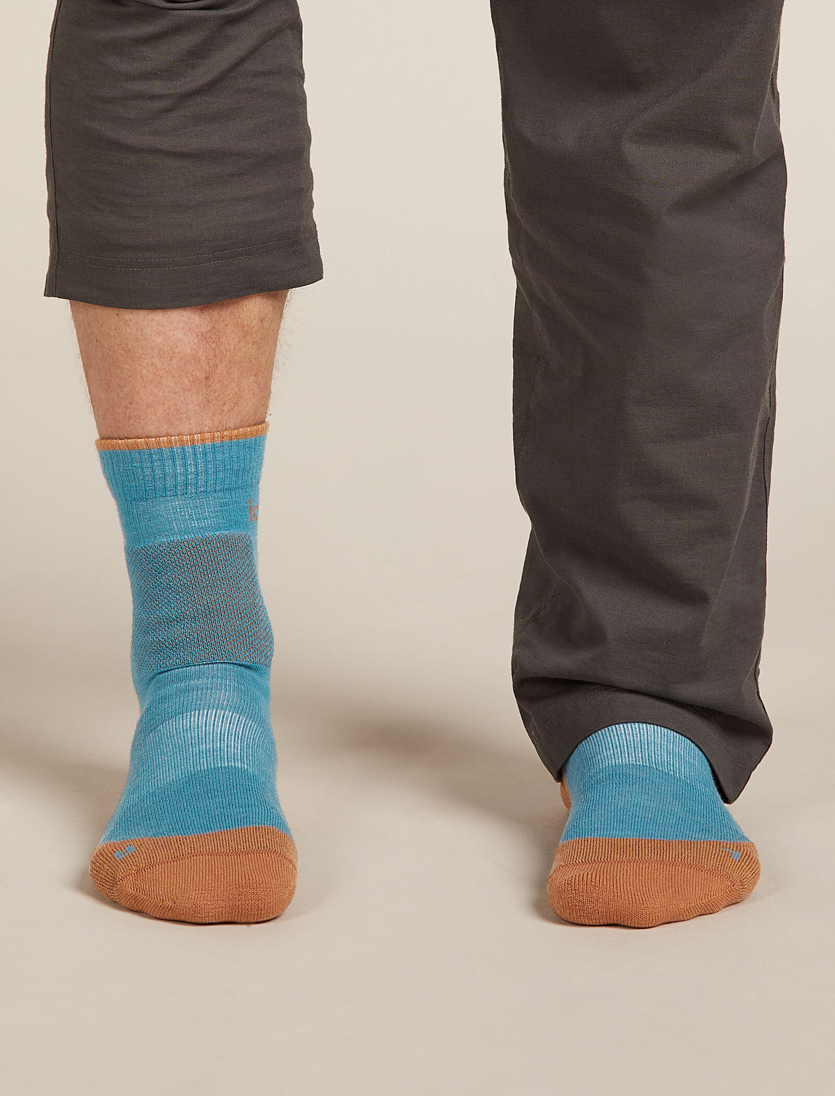 Icebreaker Merino Hike+ Medium Crew Sock Men's