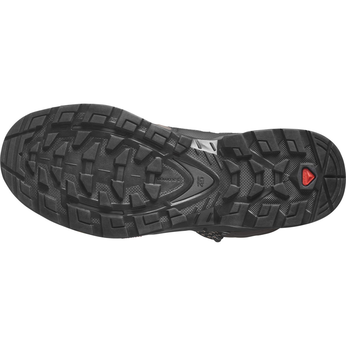 Salomon Quest 4 GTX Hiking Boot Women's