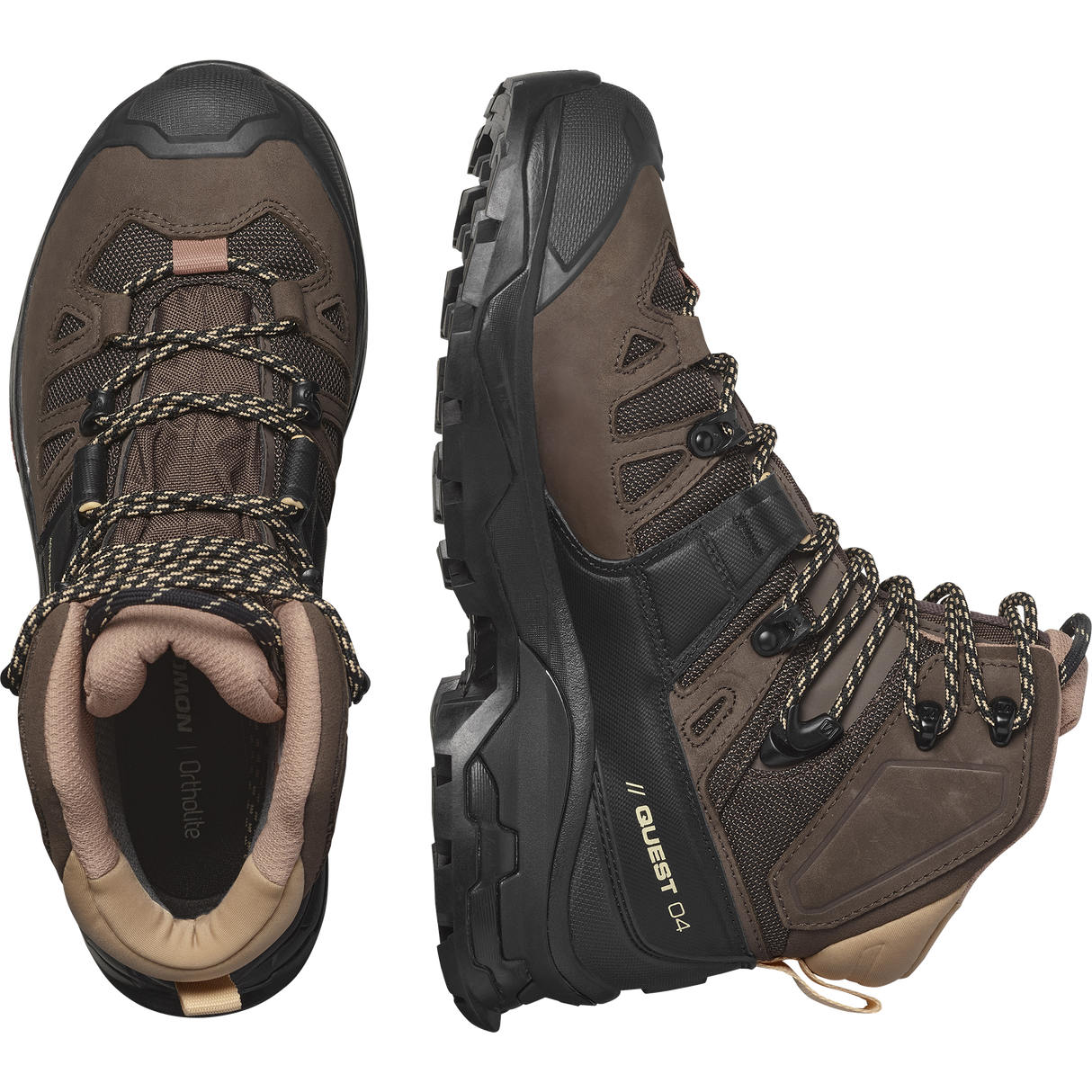 Salomon Quest 4 GTX Hiking Boot Women's