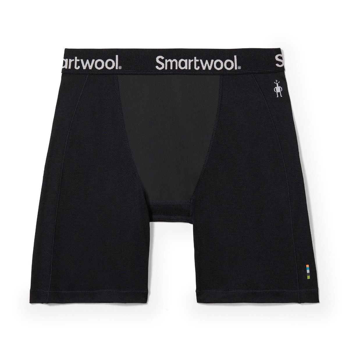 Smartwool Merino Sport Wind Boxer Brief Men's
