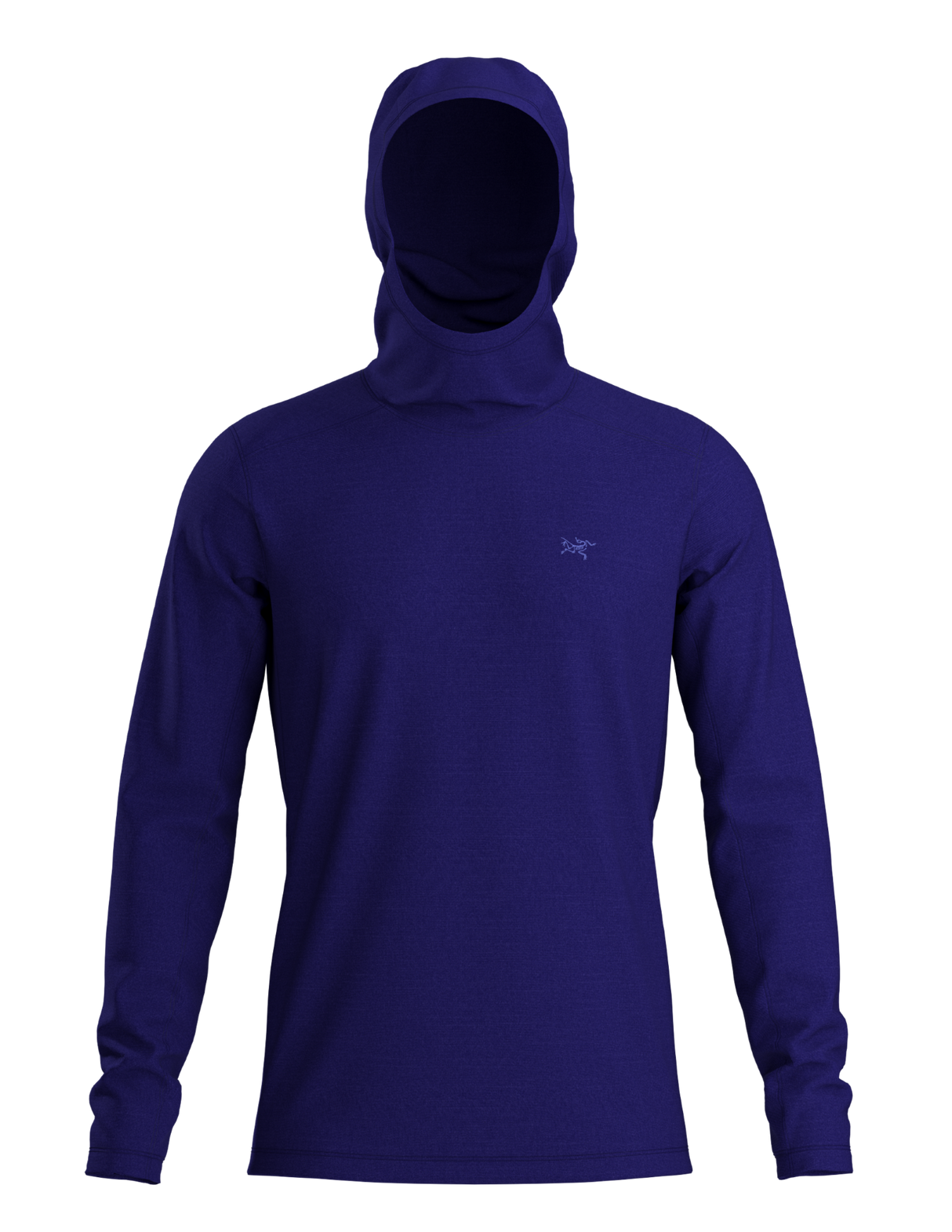 Arc'teryx Ionia Merino Wool Hoody Men's