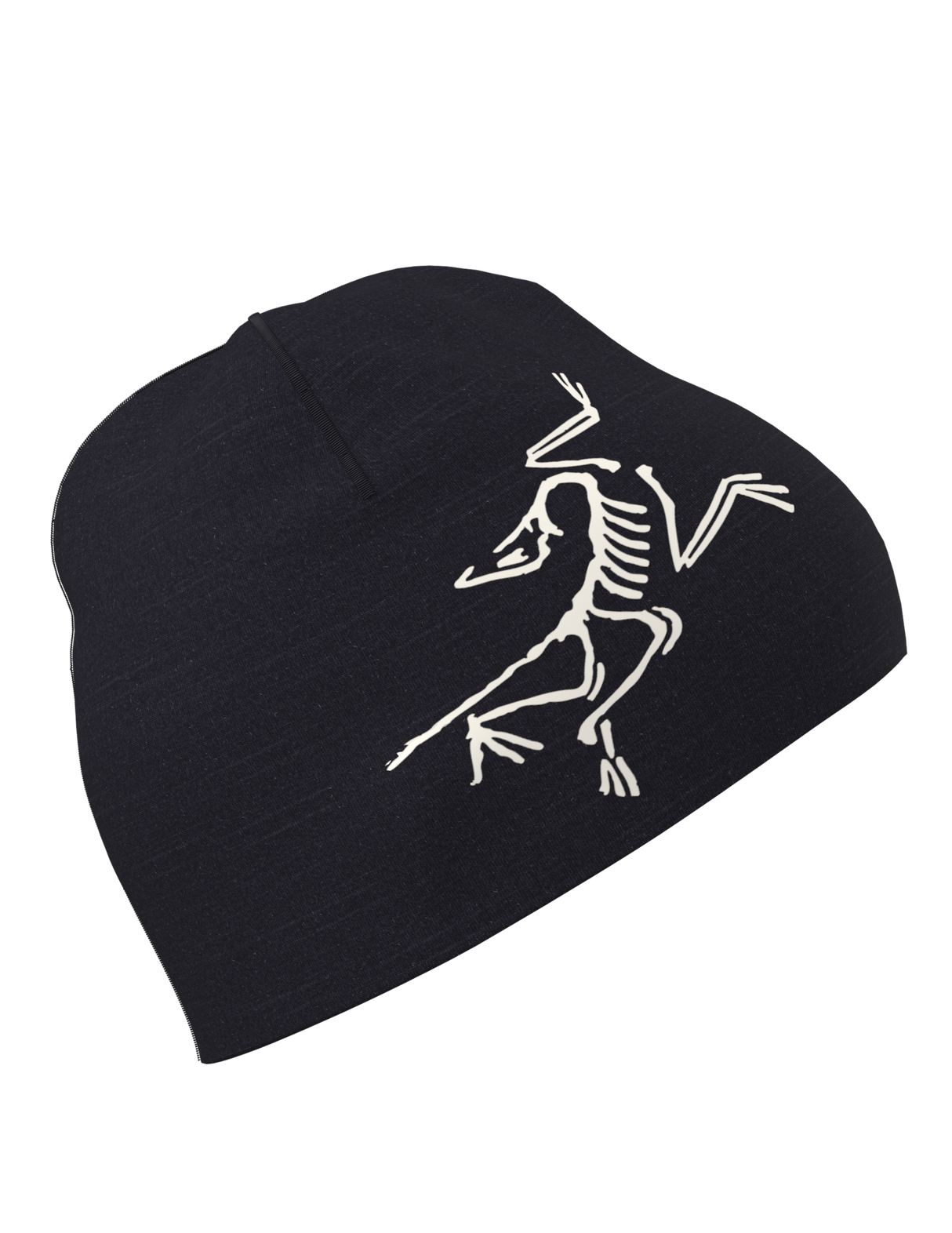 Arc'teryx Satoro Toque