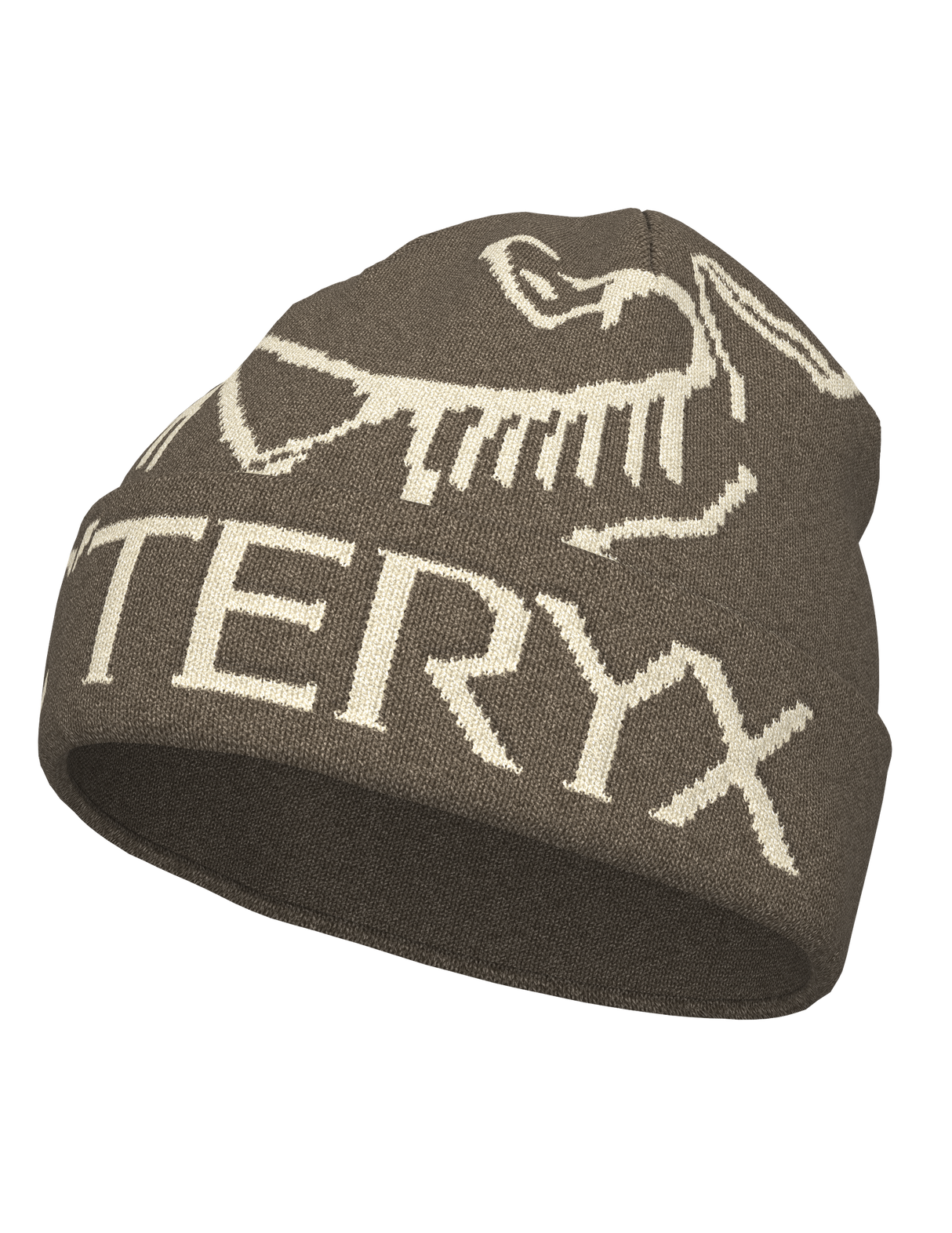Arc'teryx Bird Word Toque