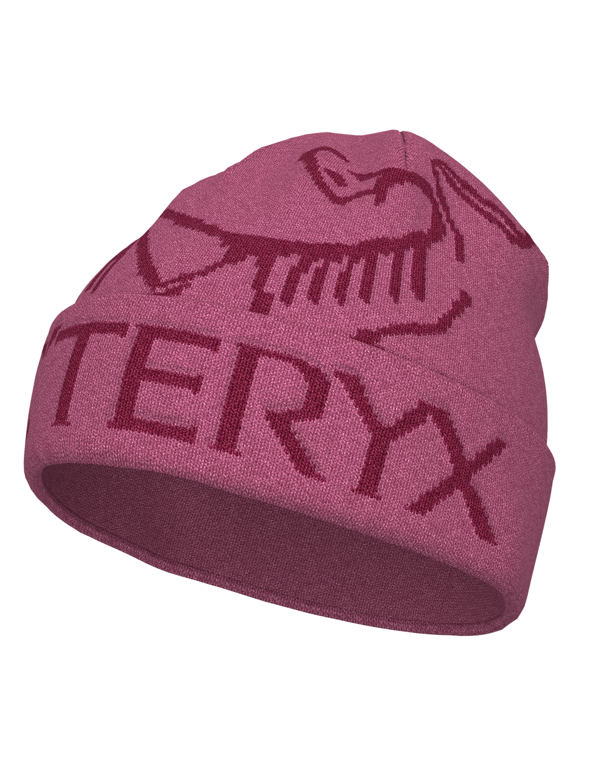 Arc'teryx Bird Word Toque
