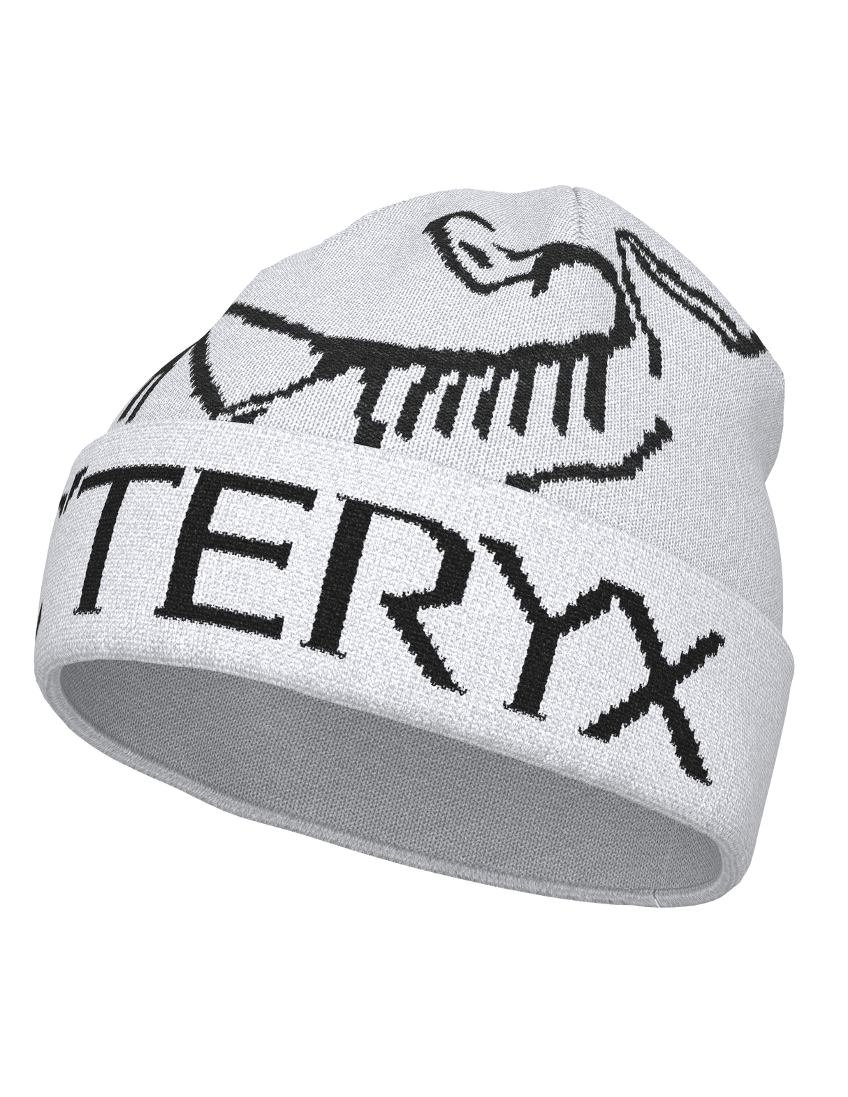 Arc'teryx Bird Word Toque