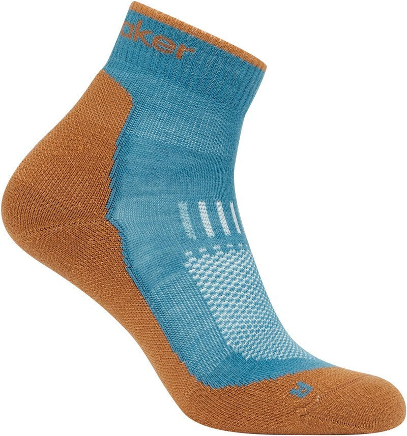Icebreaker Merino Hike+ Light Mini Sock Men's