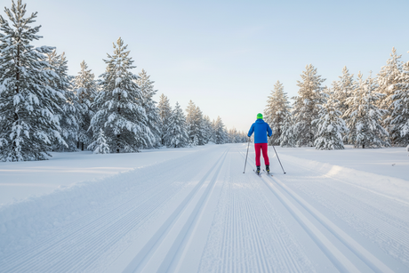 Cross-Country Skiing in Ottawa: Your Beginner's Guide to Getting Started