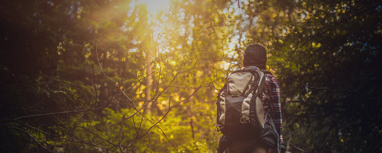 Backpackers Pantry meals prepared at an outdoor campsite