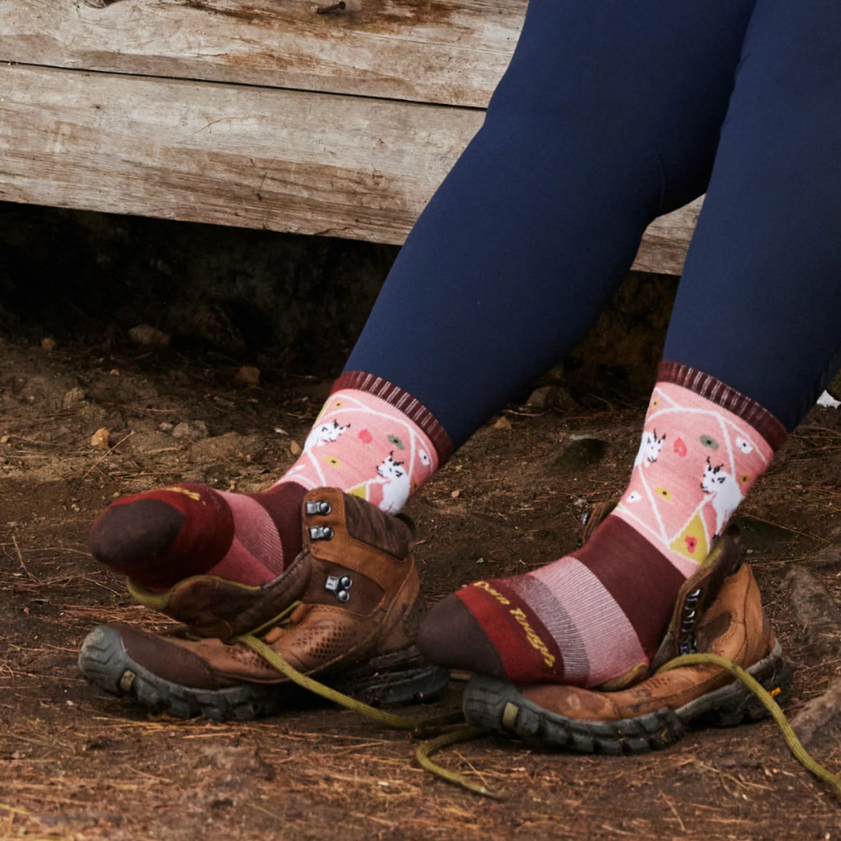 Darn Tough Critter Club Cushioned Lightweight Hiking Micro Crew Sock Women's 5001