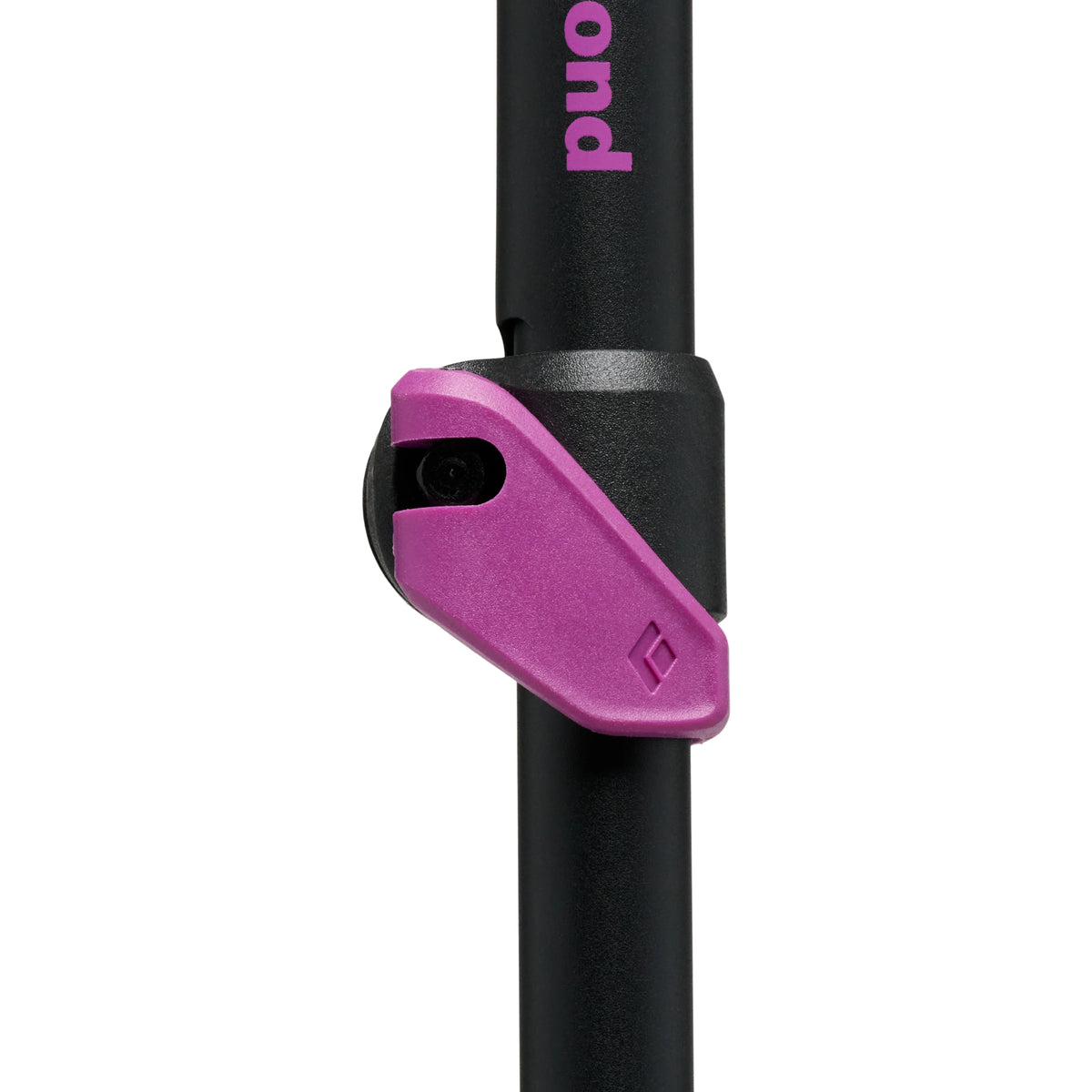 Black Diamond Expedition Ski Poles