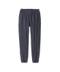 Patagonia Ahnya Pants Women's
