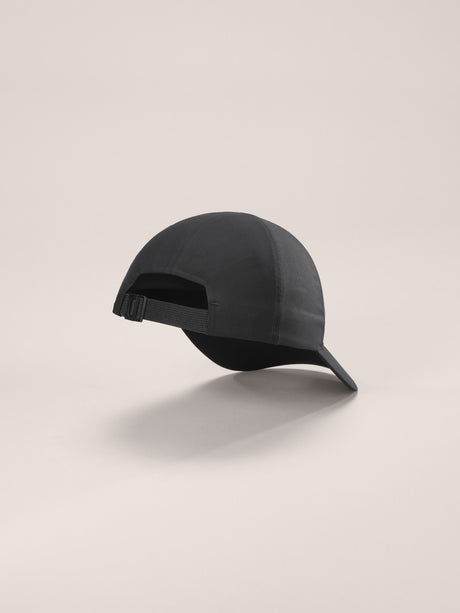 Arc'teryx Bird Word Cap