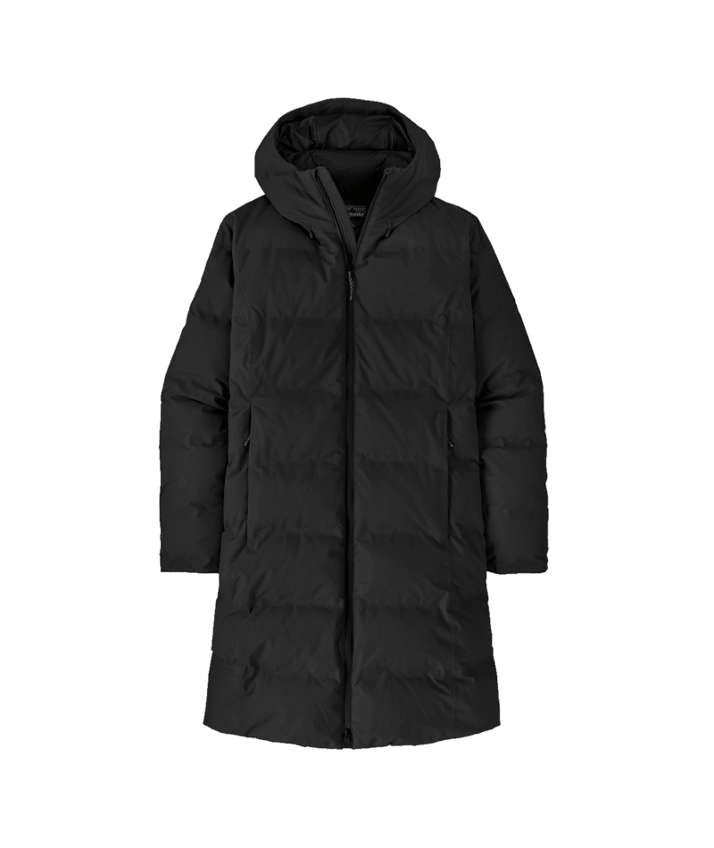 Patagonia Jackson Glacier Parka Women's
