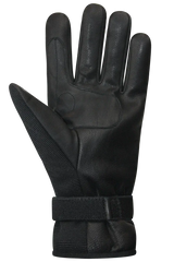 Auclair Lillehammer Glove Women's