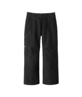 Patagonia Insulated Powder Town Pants Men's