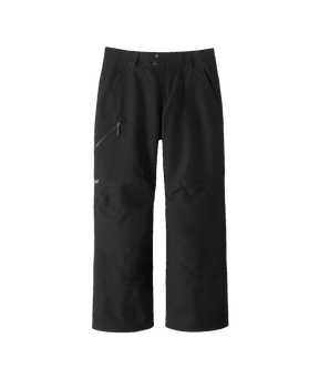 Patagonia Insulated Powder Town Pants Men's