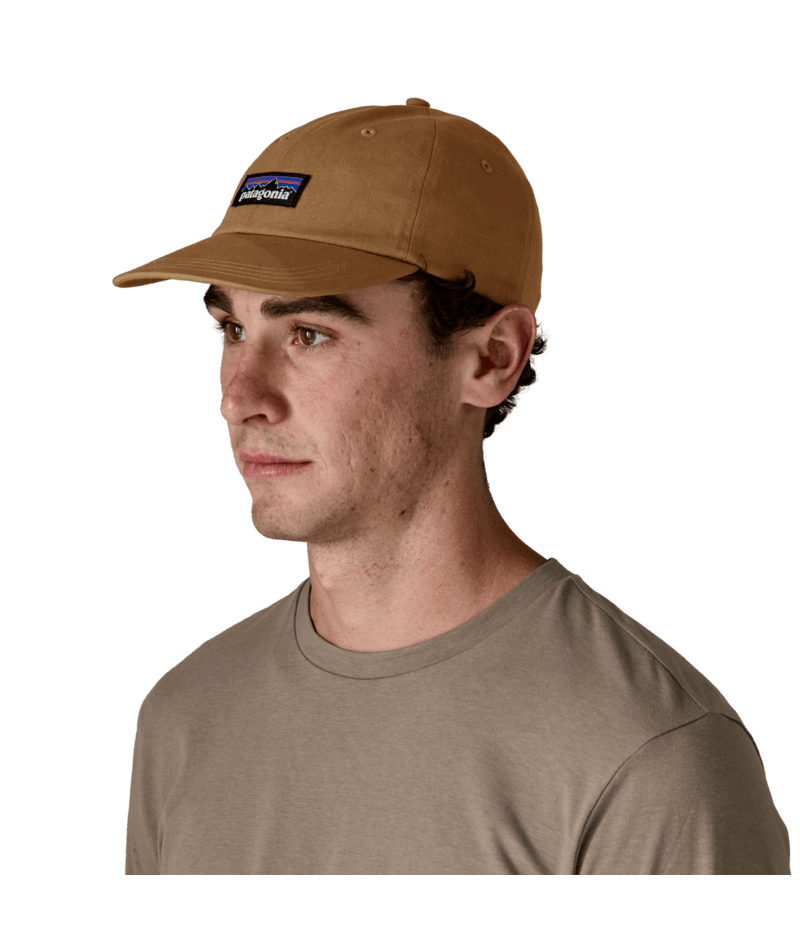 Patagonia P-6 Label Trad Cap