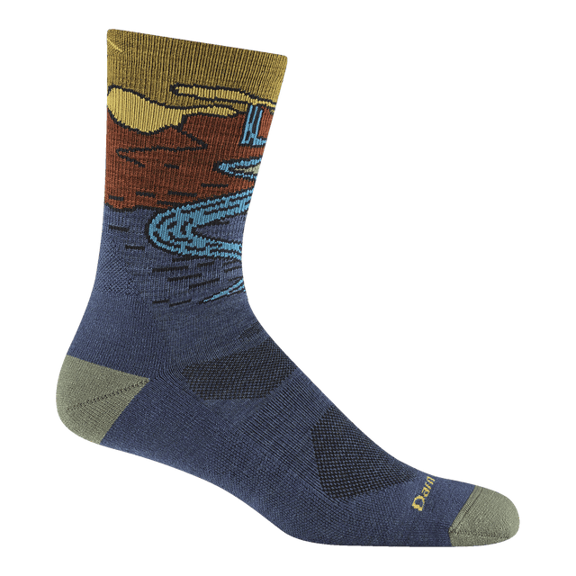 Darn Tough Chasing Waterfalls Cushioned Lightweight Hiking Micro Crew Sock Men's 5020