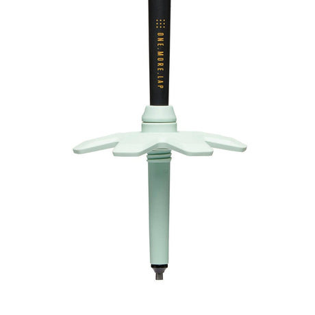 Black Diamond Traverse Pro Ski Poles