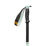 Black Diamond Traverse Pro Ski Poles