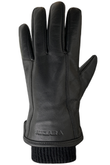 Auclair Aiden Glove Men's