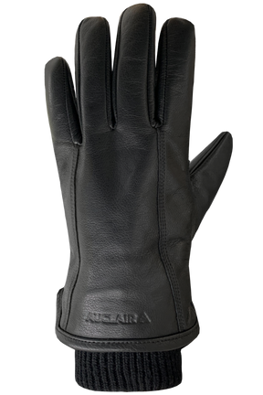 Auclair Aiden Glove Men's