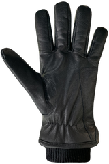 Auclair Aiden Glove Men's
